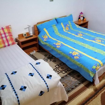 Ferienwohnung Rustic House Turnu Magurele Exterior foto