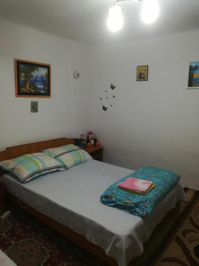 Ferienwohnung Rustic House Turnu Magurele Exterior foto